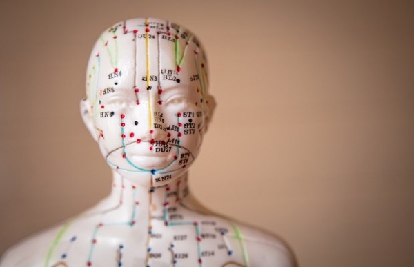 Huyệt đạo có vai trò nhất định trong cơ thể 